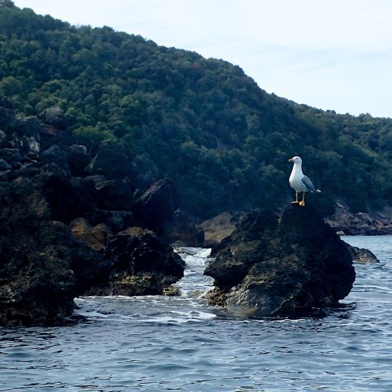 the route-antognelli-italie-kayak